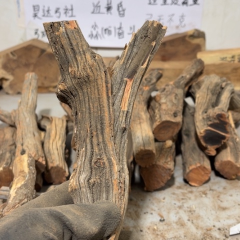 大果紫檀（缅甸花梨）就*我