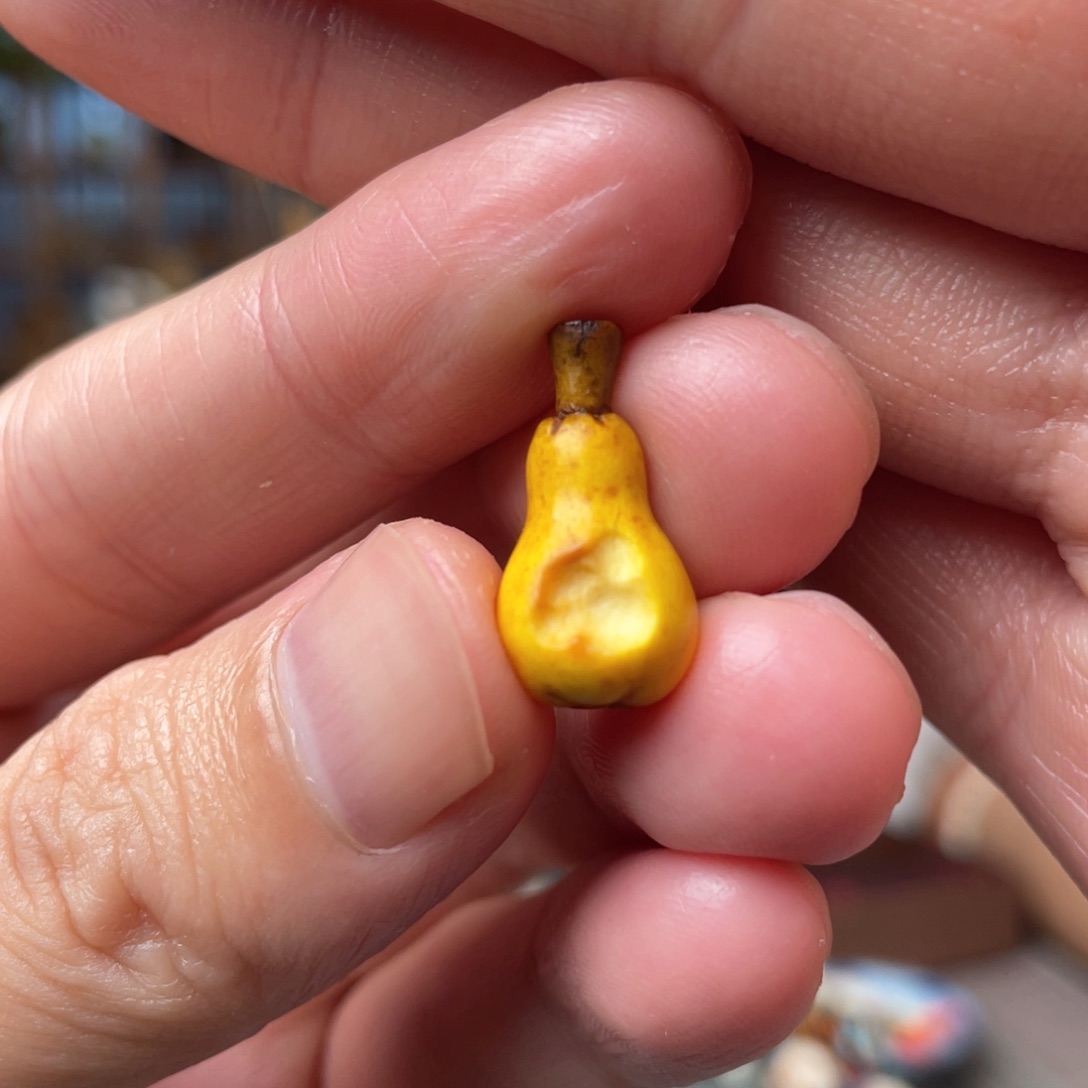 木方颜竹木艺术吊坠