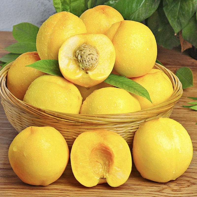 山东蒙阴黄桃黄金油桃黄心油桃水蜜桃自产自销