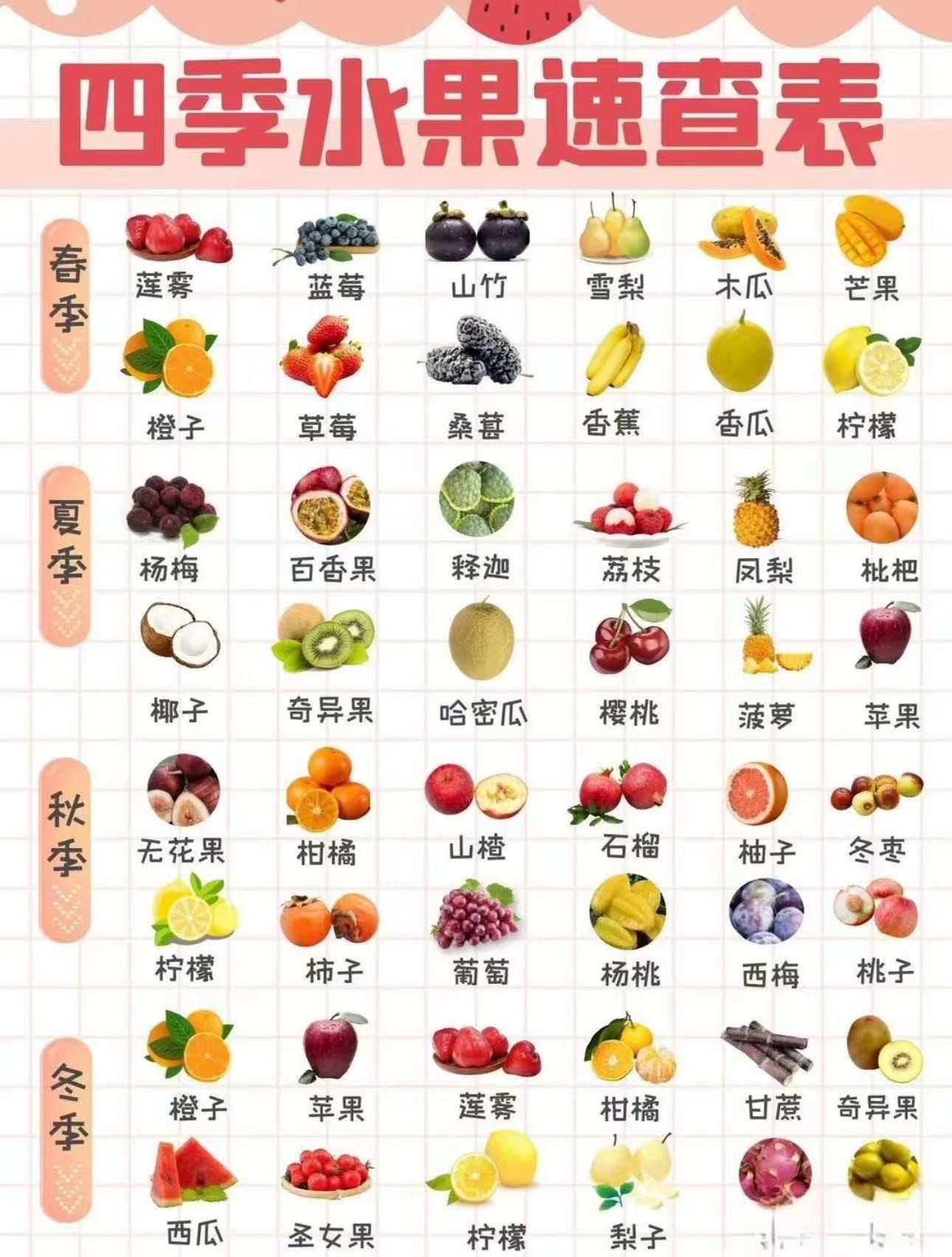 草本植物糖果压片450