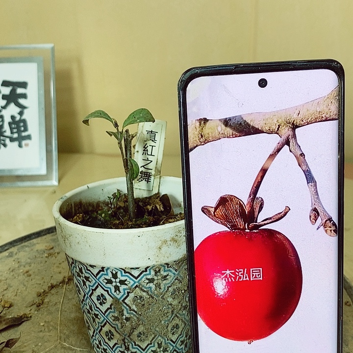 随***安无花朵哈哈哈哈哈