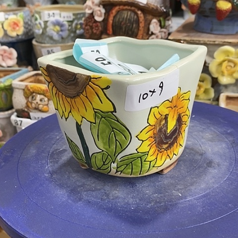 【闪购商品】红陶。