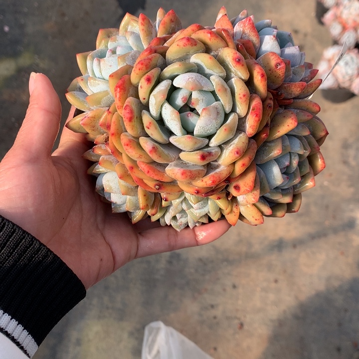 122109嗯嗯嗯嗯嗯嗯好加油