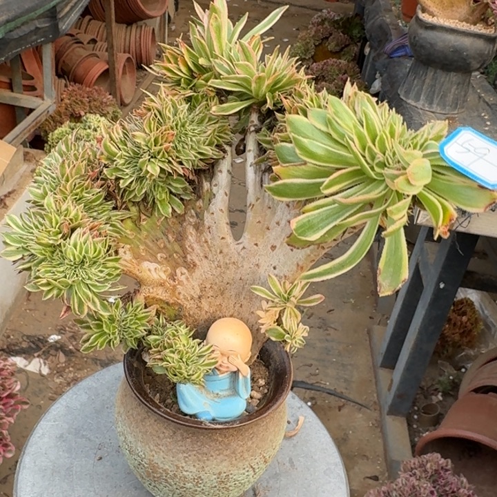 夕颜法师锦缀化59