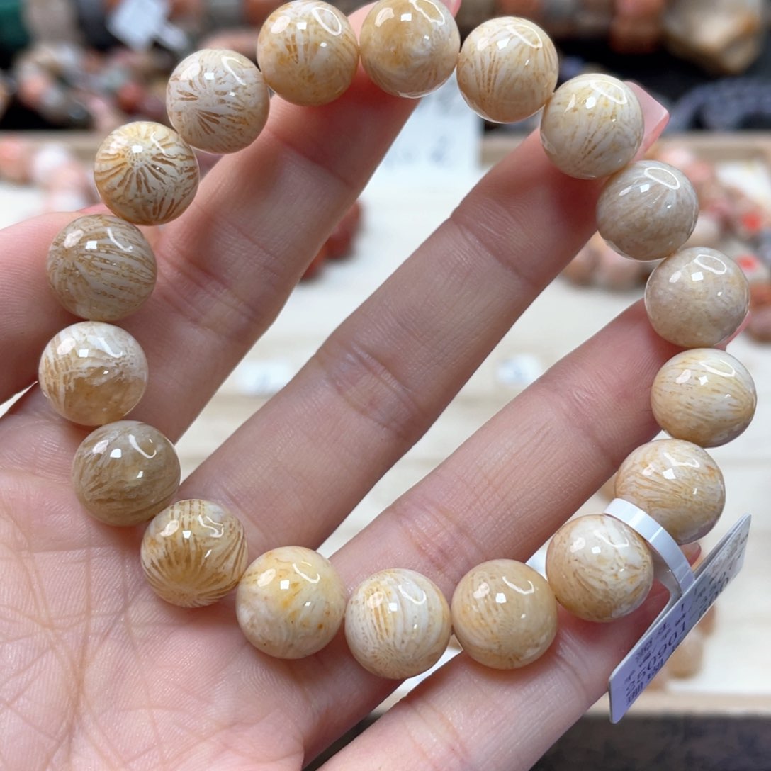 未镶嵌手链硅化珊瑚（珊瑚玉）宝**枚529