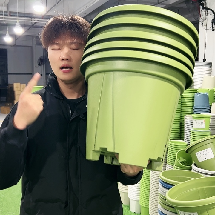 清仓青山口40高34果绿色5只无托