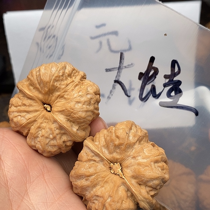 吊坠文玩核桃W7969497479497749