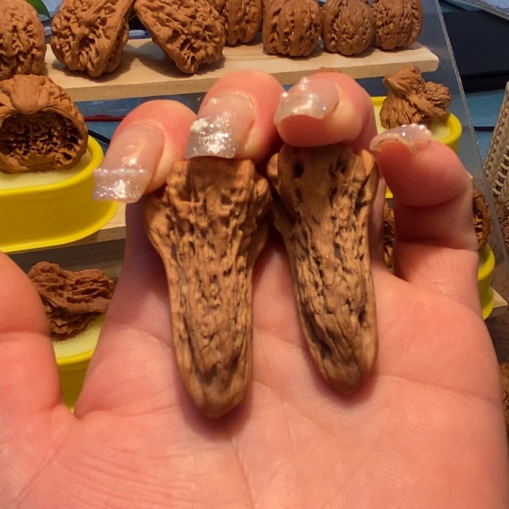 官方网站发布鸭嘴