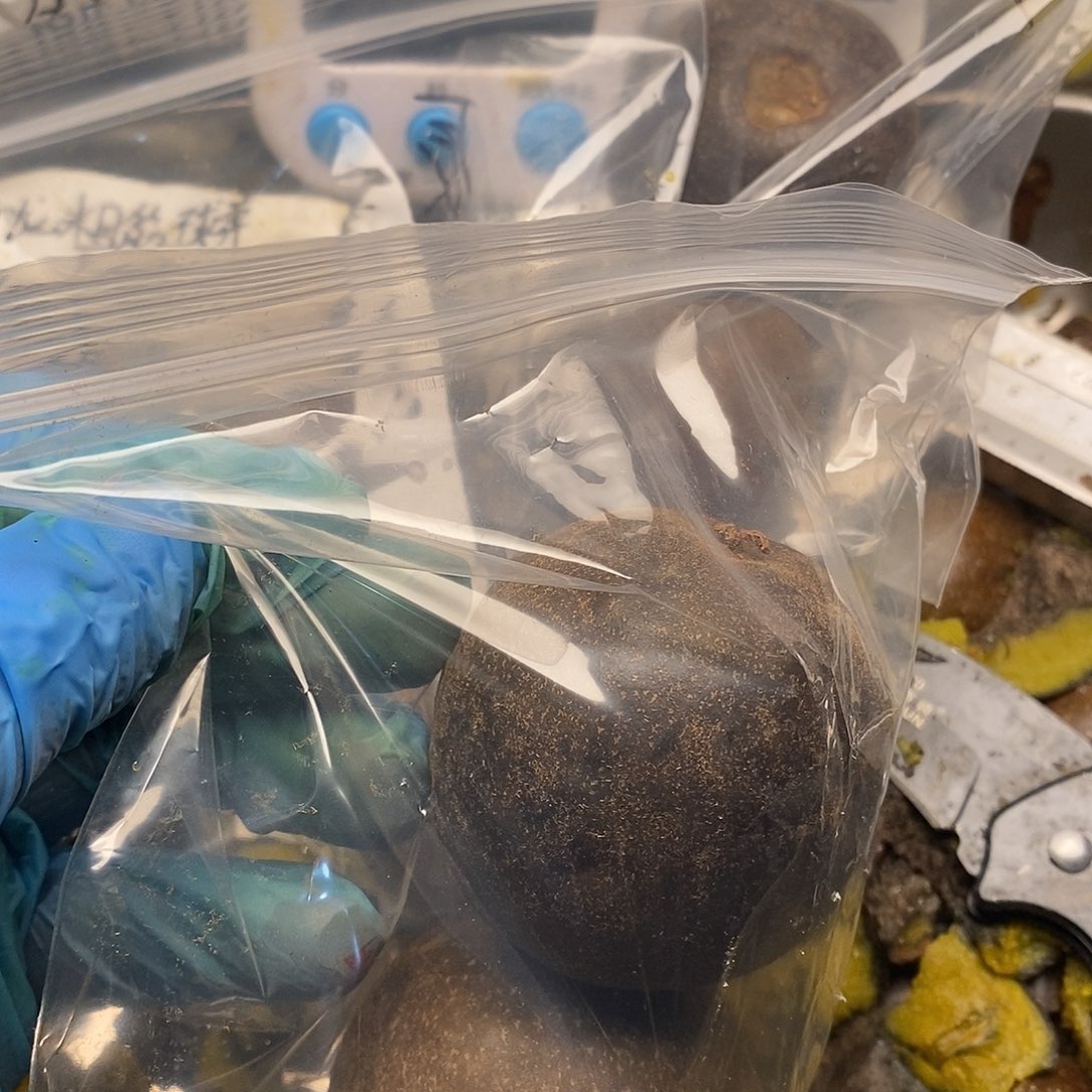 ****韩刚看你慷慨解囊姐姐