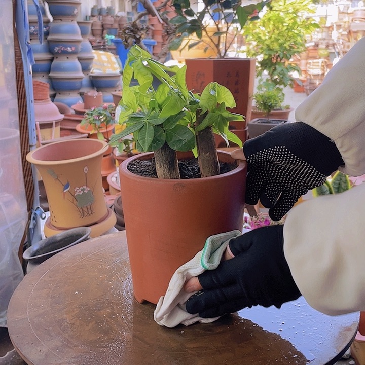 紫砂宜兴紫砂花盆光板笔筒大