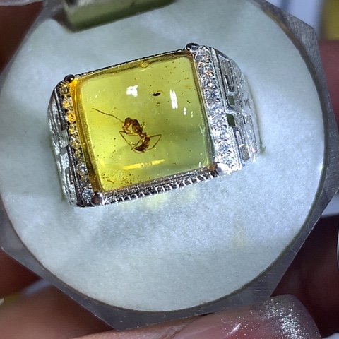 琥珀裸石银S925镶嵌蚂蚁戒