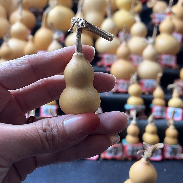 骑****儿天然葫芦葫芦葫芦葫芦