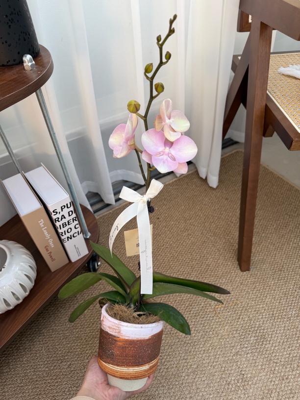 【予兰·一物一拍】威尼斯恋人