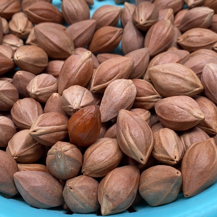 吊坠橄榄核秀***泉