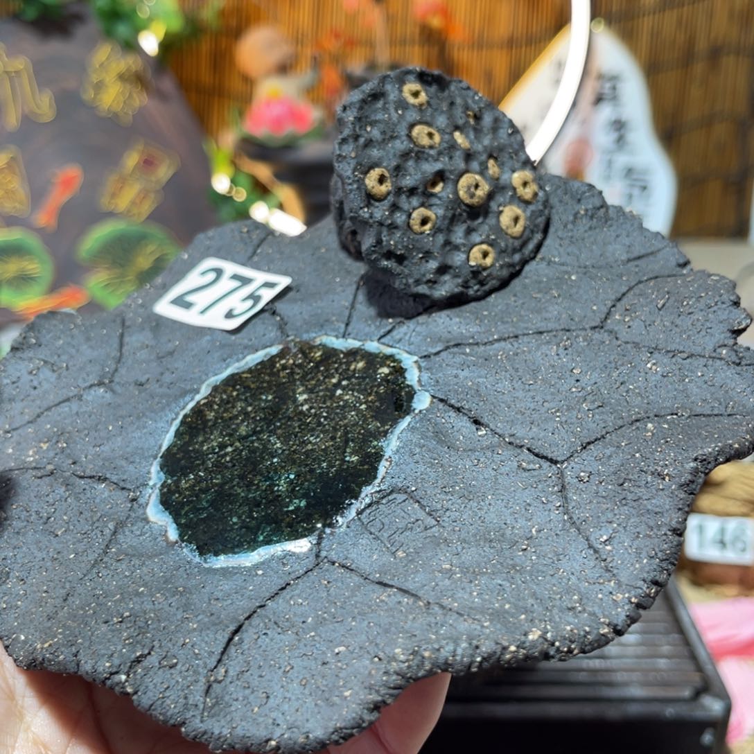 木村信弘柴烧保平