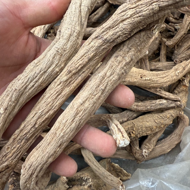 （西藏野党参）特产山货小念推荐