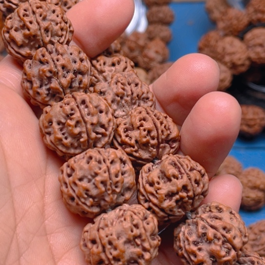 金刚菩提手串山*v0078/22/5