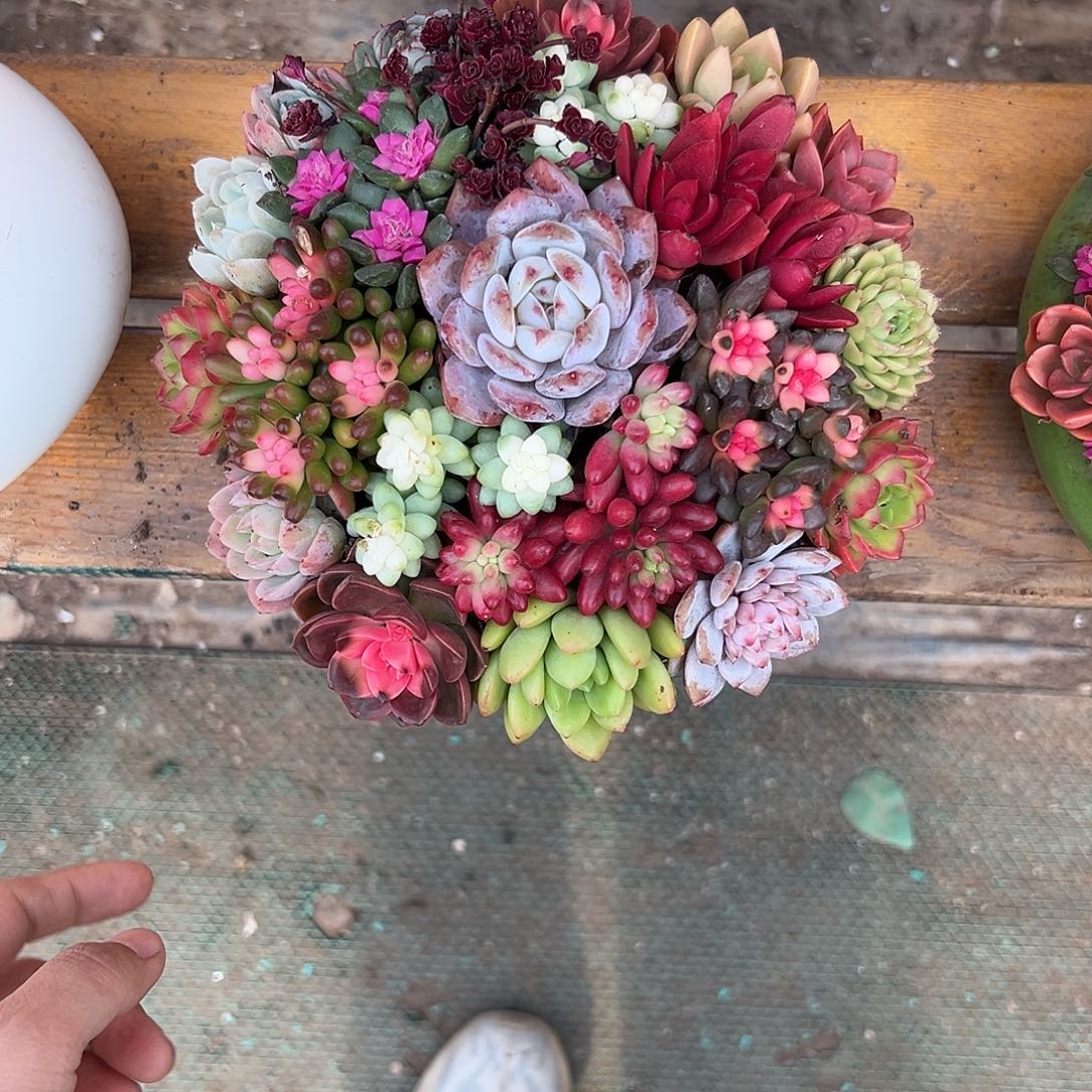 聚宝盆花园组合花园