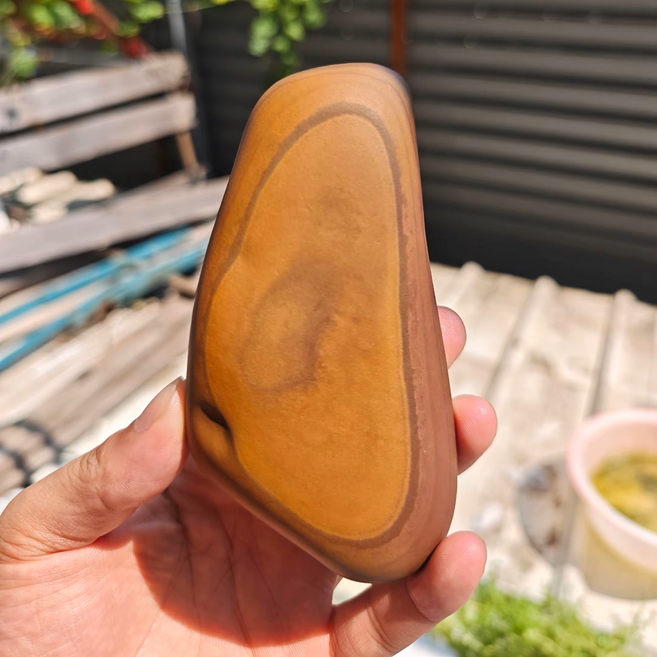 黄蜡石原石，摆件，奇石，观赏石，乌龟晒台.