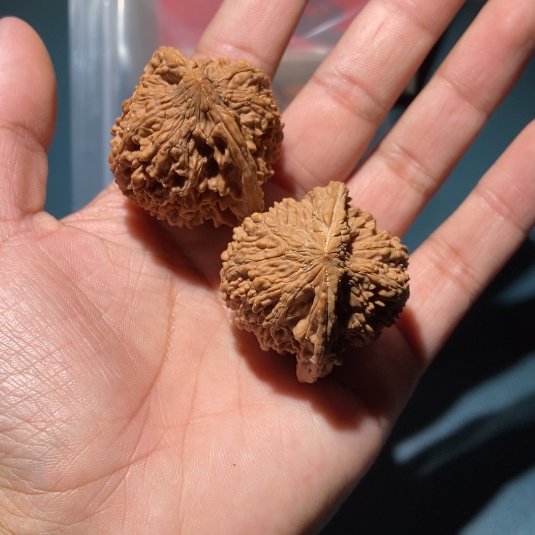 文玩核桃吊坠满天星14