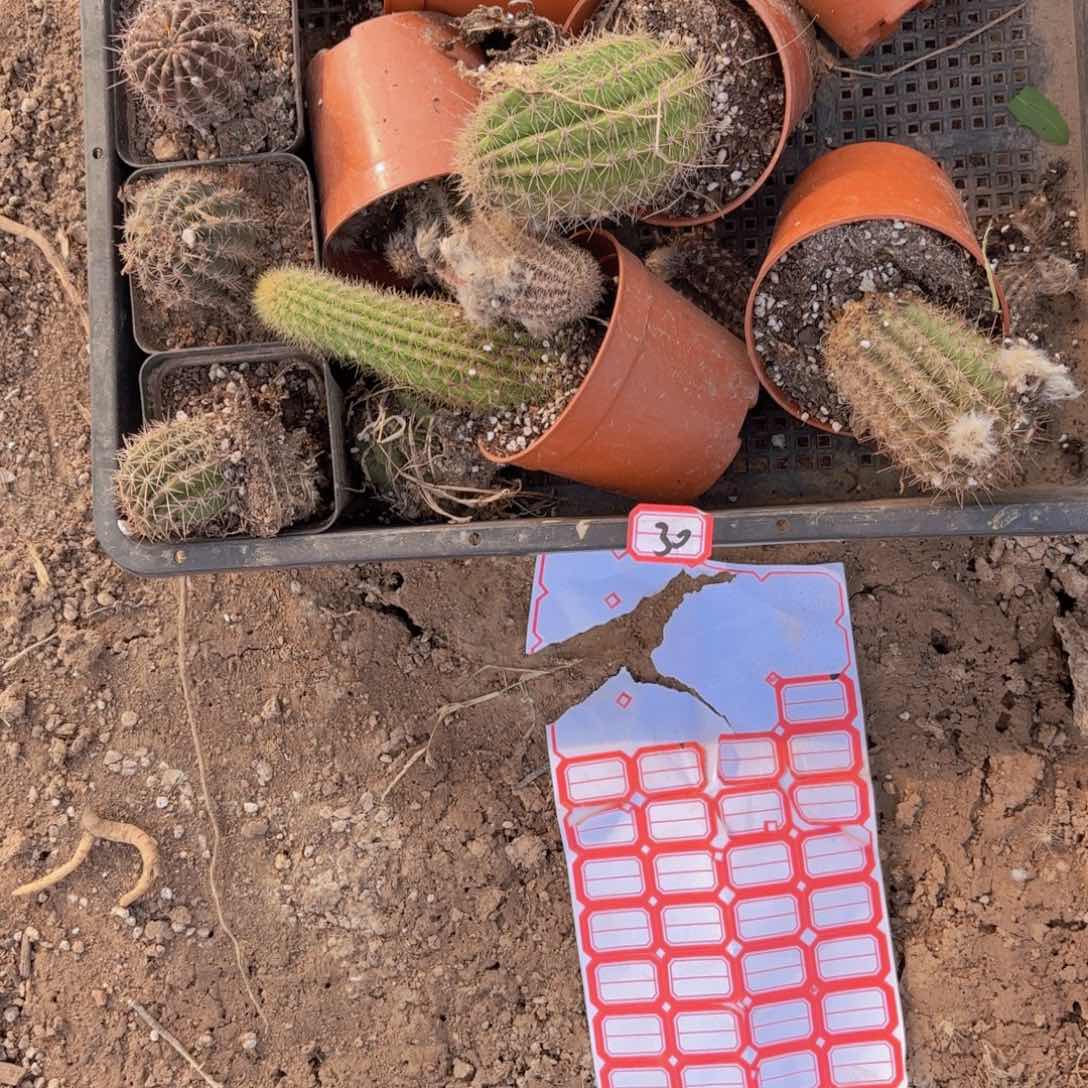 爱*悔30 混品瑕痴无售后