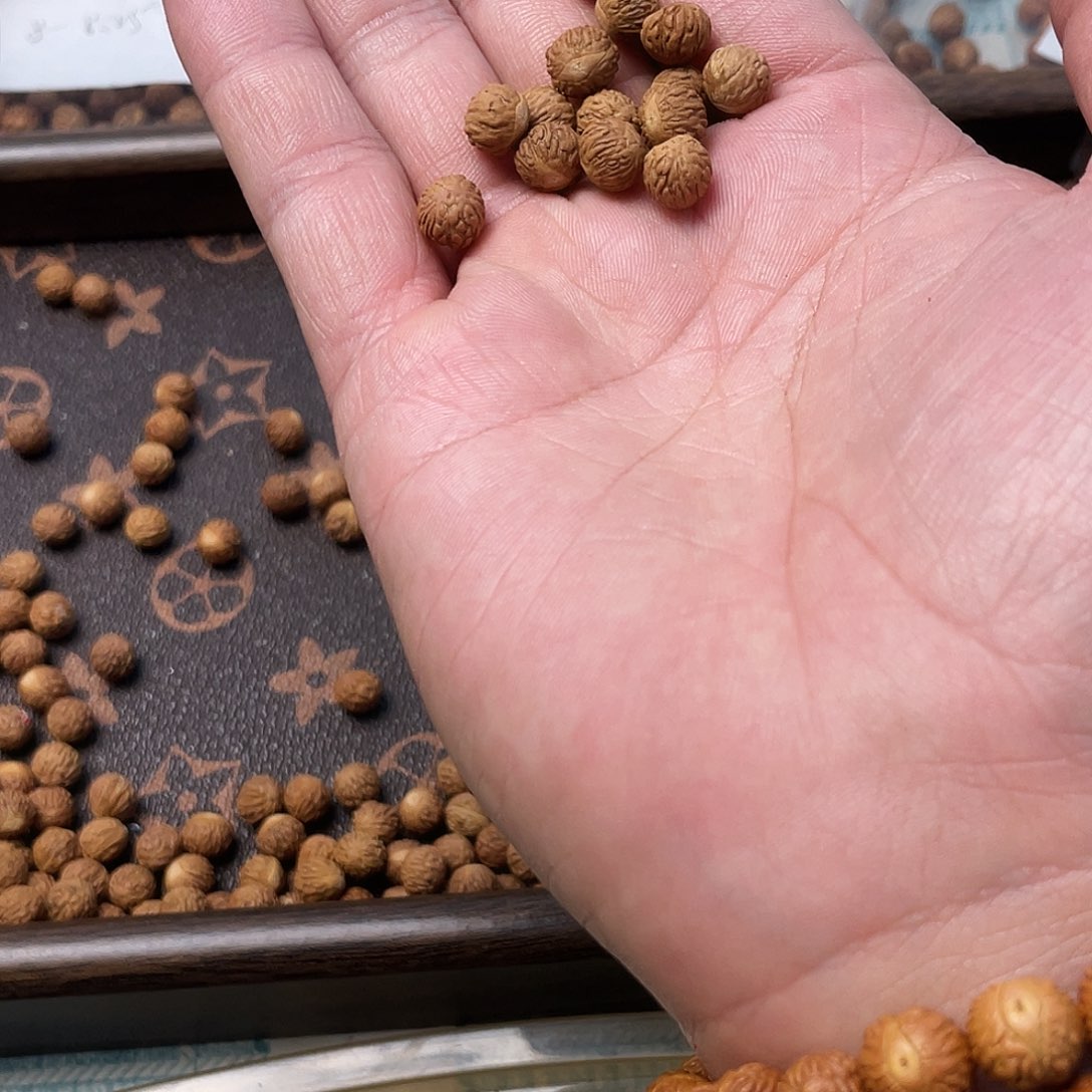 一起发111111111111