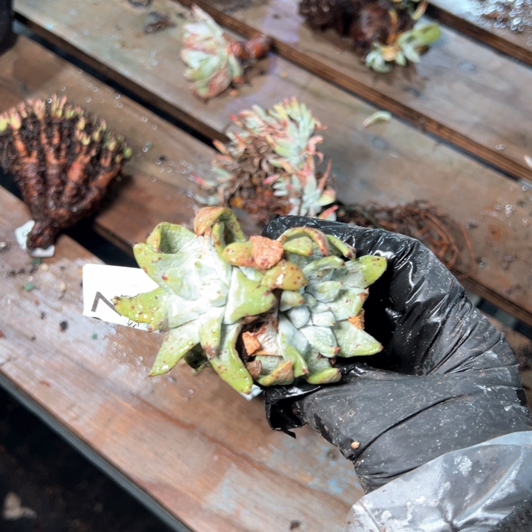 6327哈哈哈哈哈哈哈哈