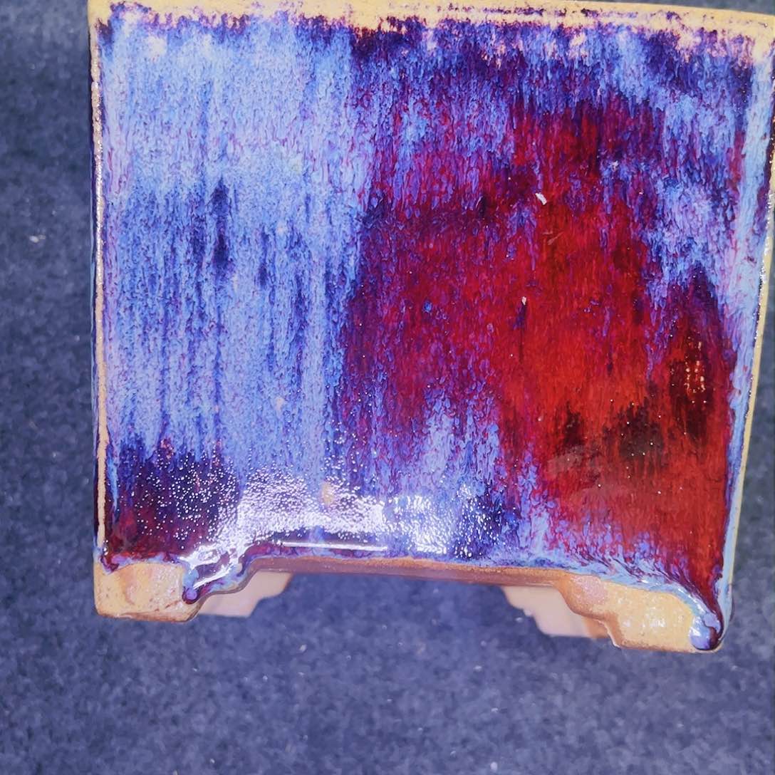 红陶今天仓播一件不留！！!