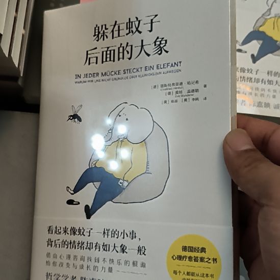 躲在蚊子身后的大象