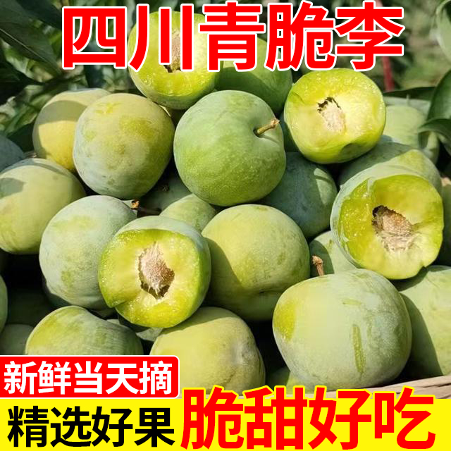 四川巴山脆李青脆李脱骨李脆甜土李子清脆空心李现摘新鲜巫山水果