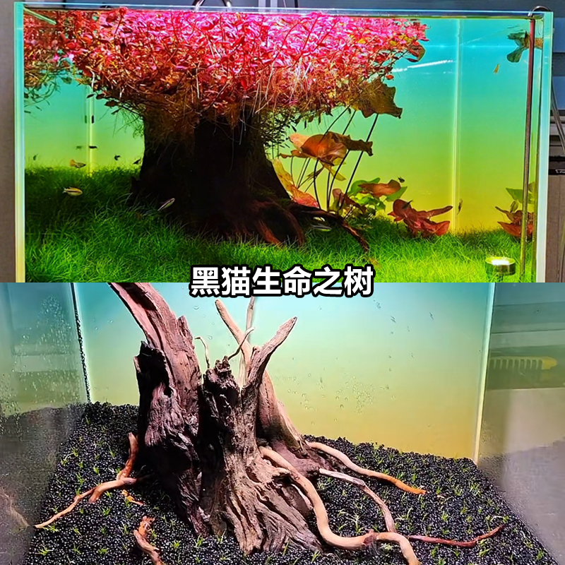 黑猫生命之树沉木老树桩造景鱼缸水族箱装饰山水石杜鹃根升级版生