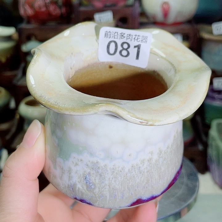 狼盆内口径6高度7