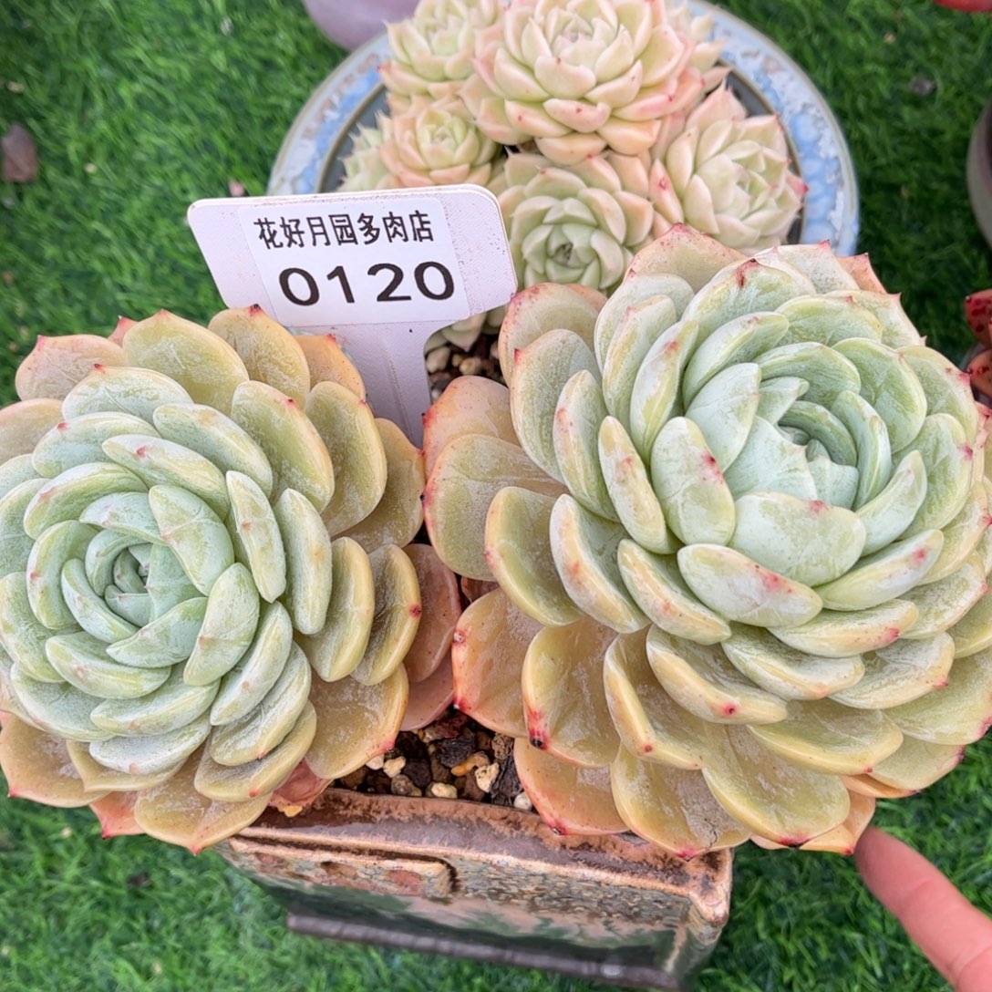 宝***静0120 满30包邮天冷地区必拍保温箱