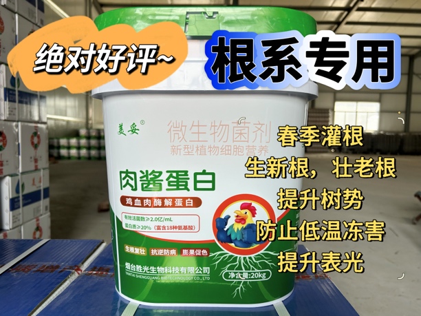 肉酱蛋白含动物源氨基酸采用菌酶联合发酵