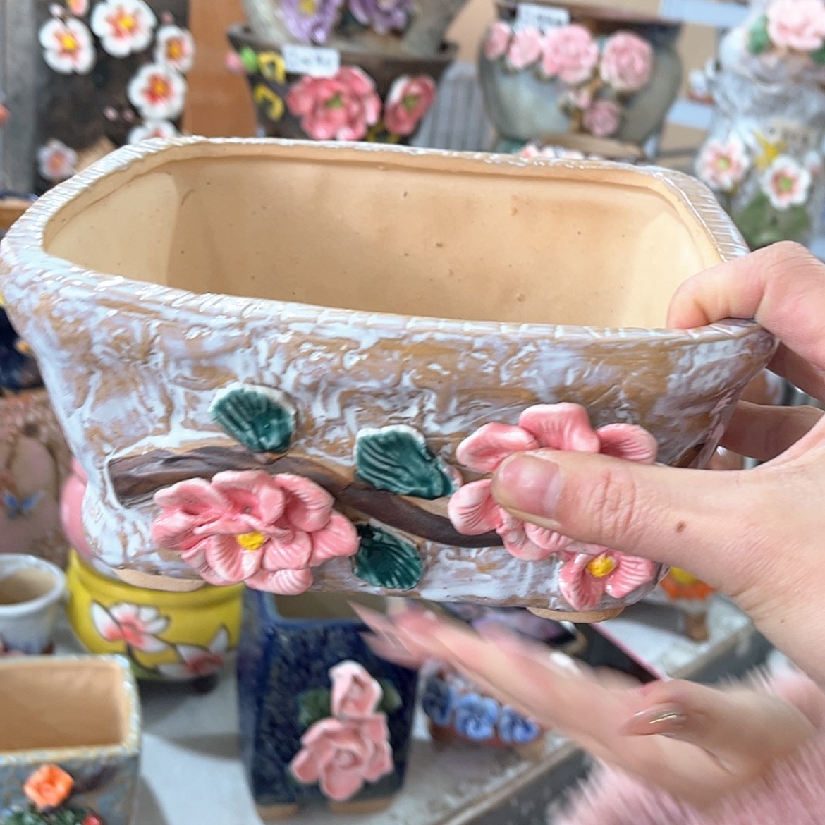 【闪购商品】红陶福利