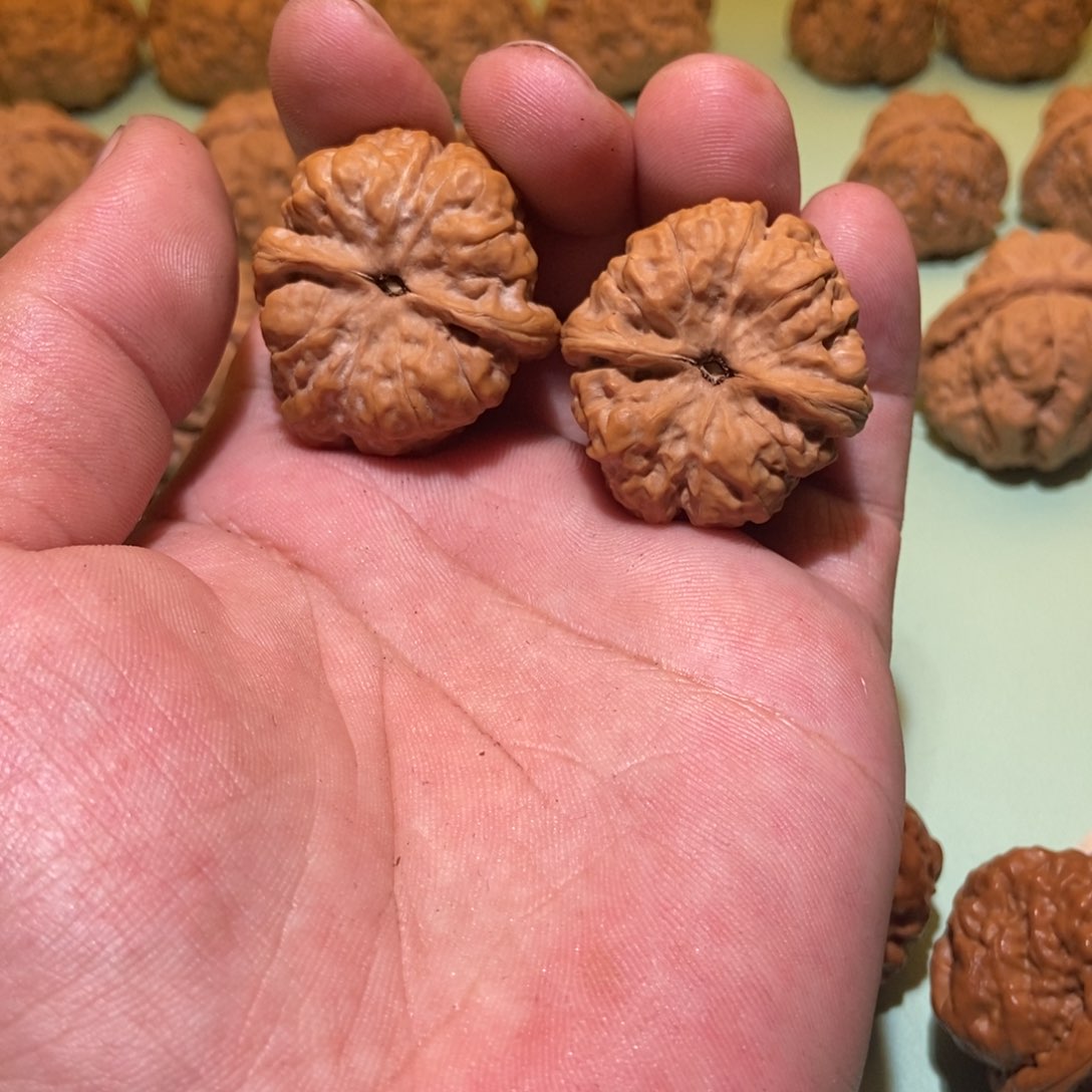 文玩核桃吊坠❤️**蛤蟆头35一对