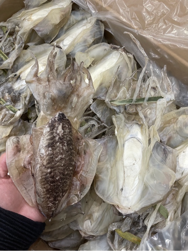 广东汕尾本港墨鱼干墨鱼脯 淡干6头左右煲汤煲粥爆炒焖鸡海味干货