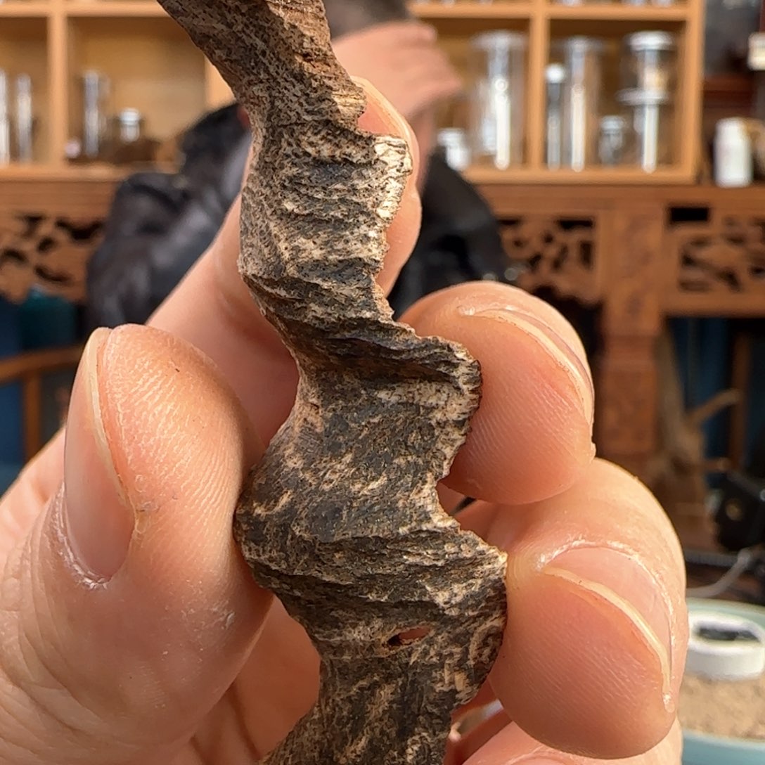 沉香摆件海南琼中沉水大块碎料2.6克