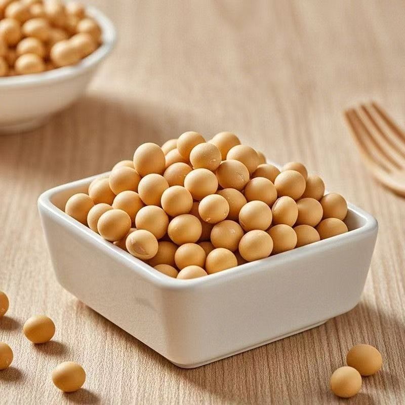 【小慧专属】黄豆新货东北颗粒饱满农家打豆浆新黄豆