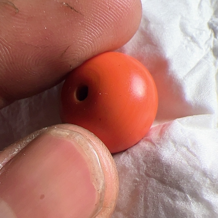 香榧木在家了一个小时