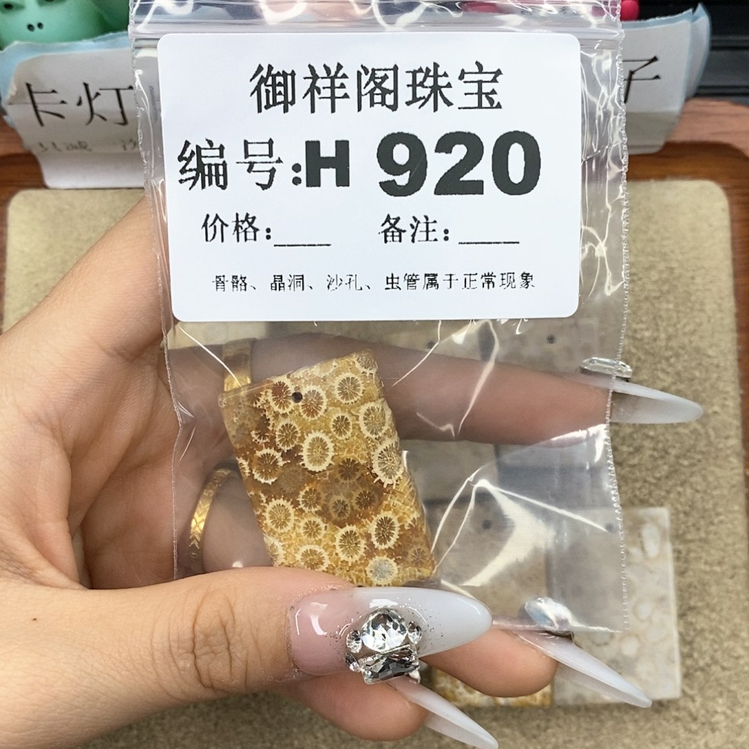 硅化珊瑚（珊瑚玉）z未镶嵌^****i