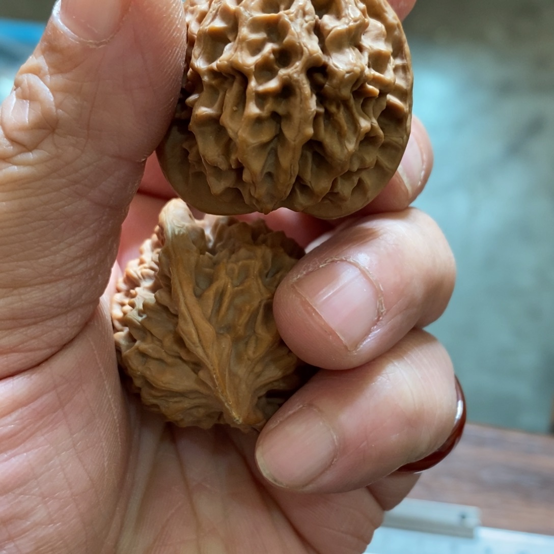 ?**?秦岭山脉东面临湖