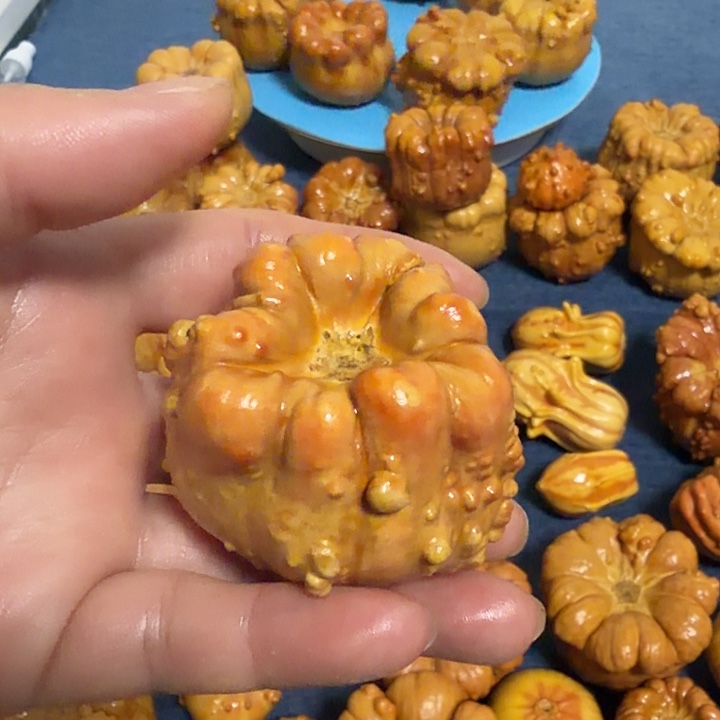 维***一墨西哥七彩疙瘩葫芦瑕疵不退货