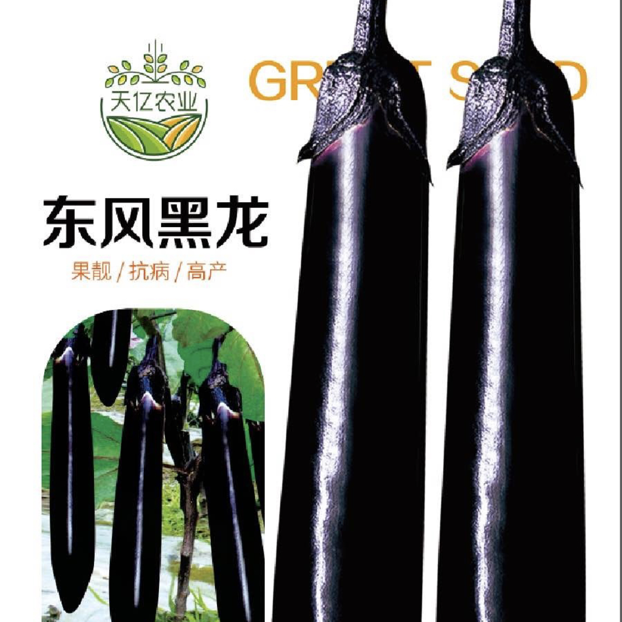 东风黑龙长茄种子皮薄肉嫩早熟恋秋