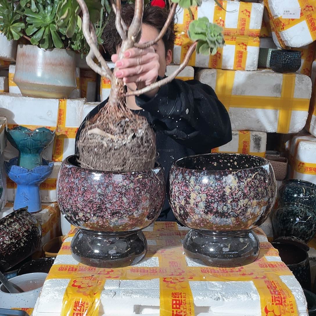 无铅玻璃宜兴紫砂花盆