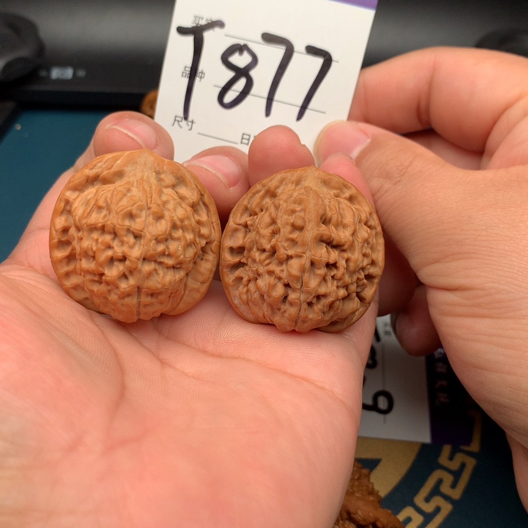 文玩核桃把件37.5莲花877