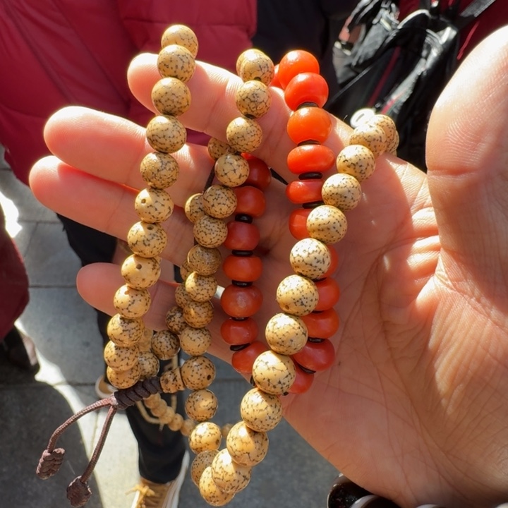 星月菩提吊坠火****瓜菩提树等树木的生长发育和