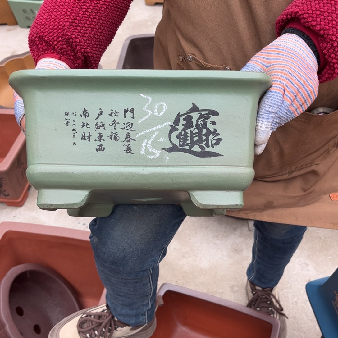 紫砂花盆盆景艺术