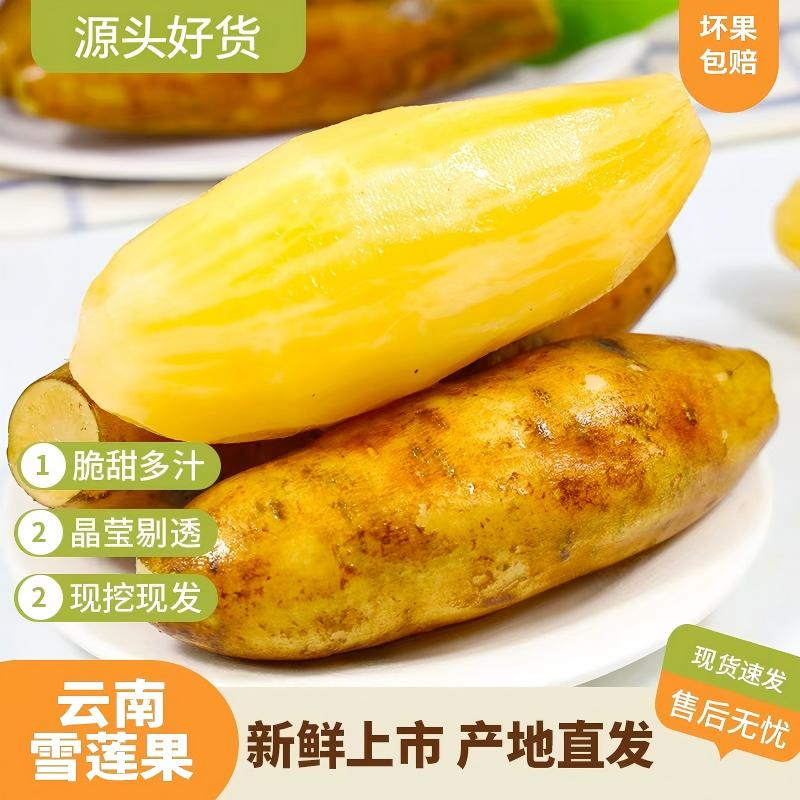 云南天山雪莲果带箱五斤彩箱 清甜脆爽多汁现挖