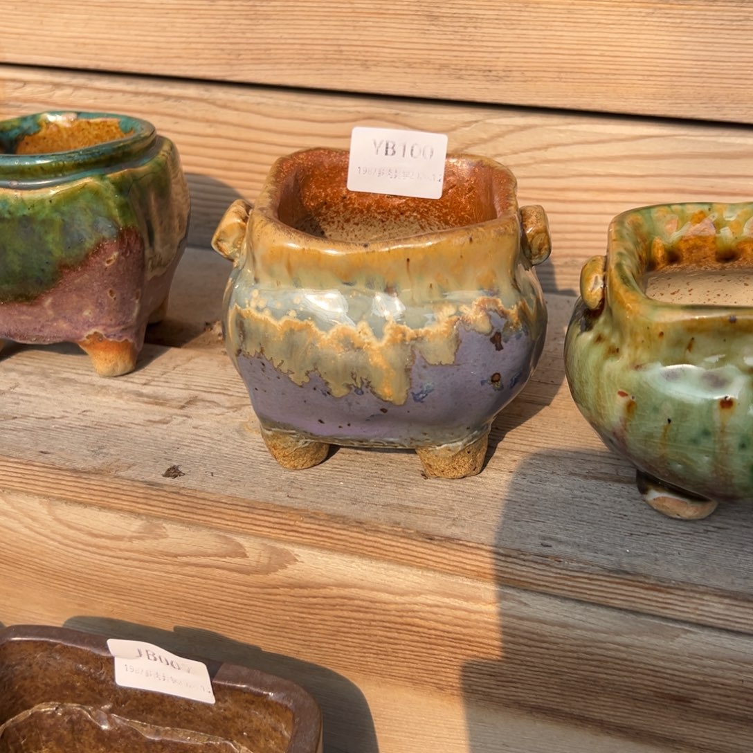 小***星yb100盆盆盆盆盆盆盆